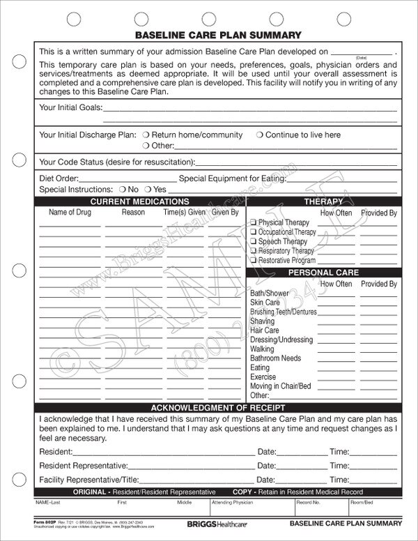 Baseline Care Plan Template